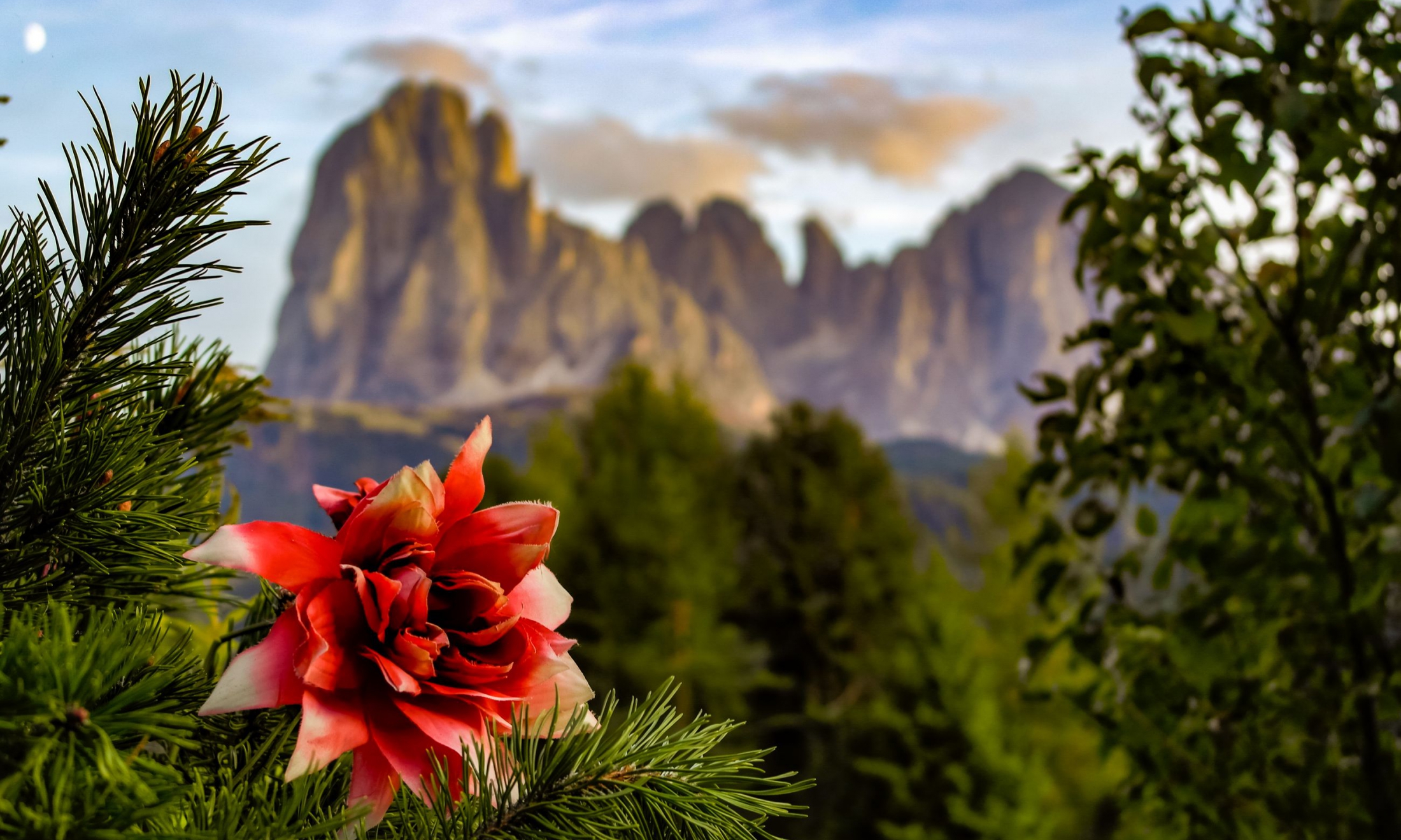 Monte Pana